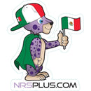NRS Paco Magnet México (Paquete de 10)